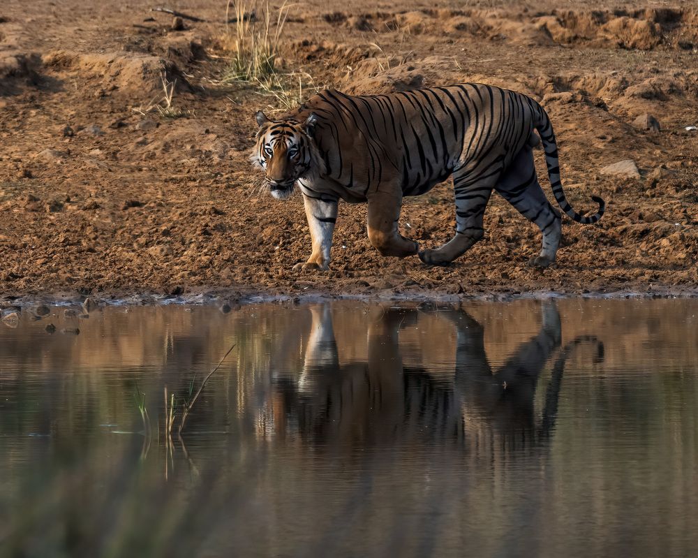 Photograph by tapas acharya