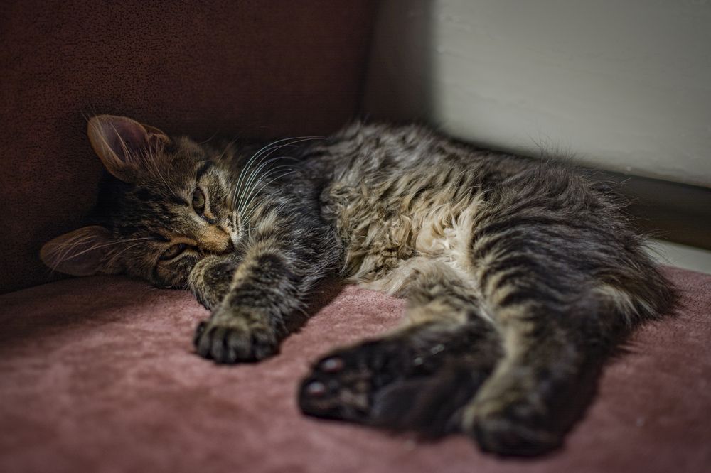 Photograph by Евгений