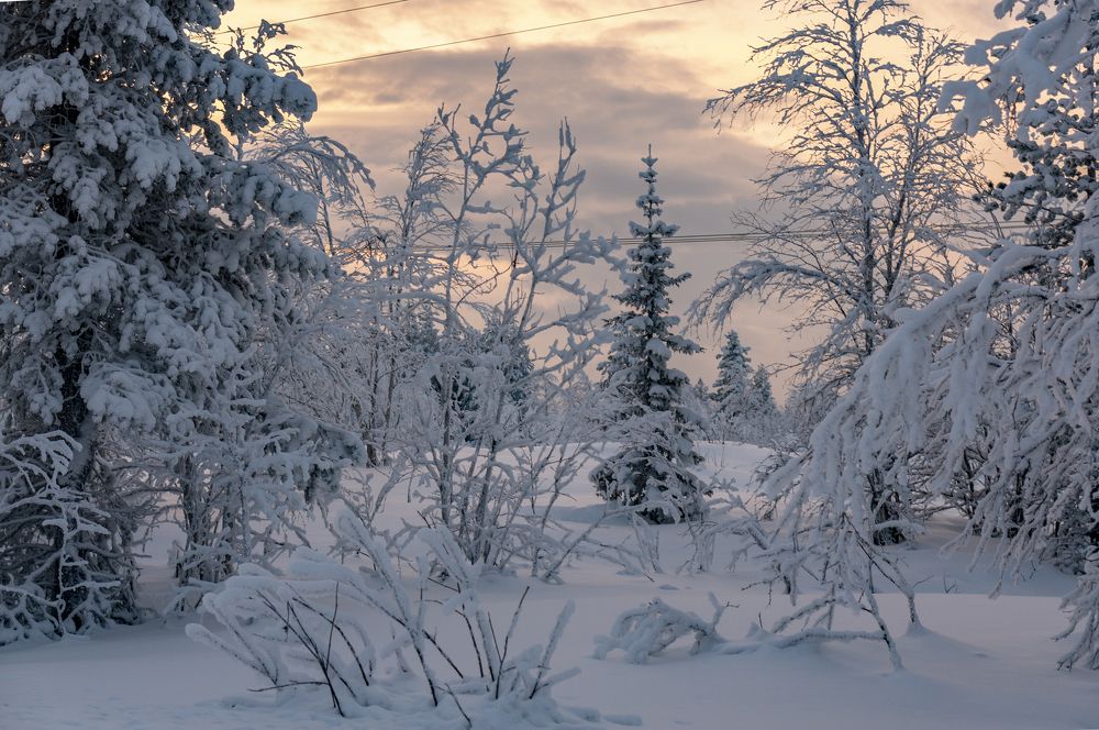 Photograph by Ирина Вершинина