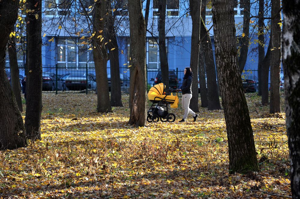Photograph by Людмила Низова