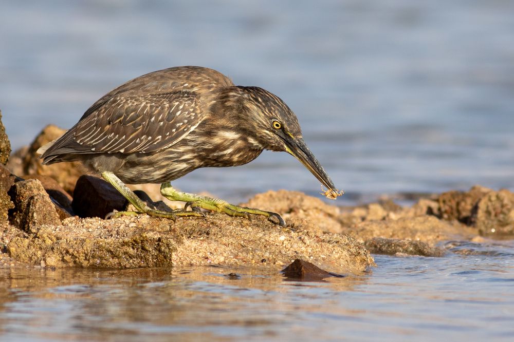 Фотография автора Евгений Гурьевских