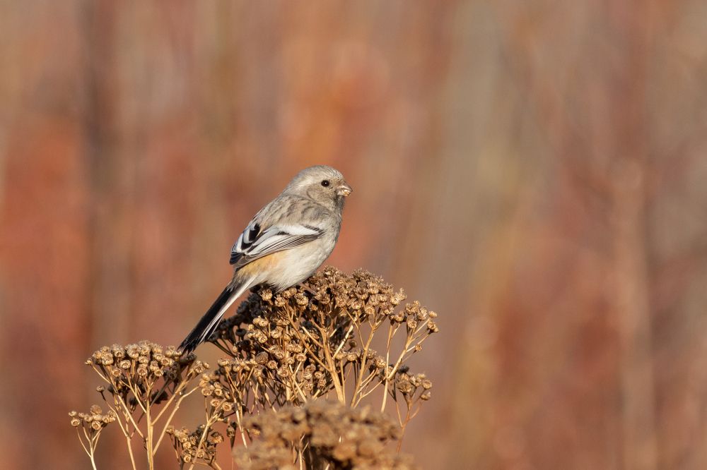 Фотография автора Евгений Гурьевских