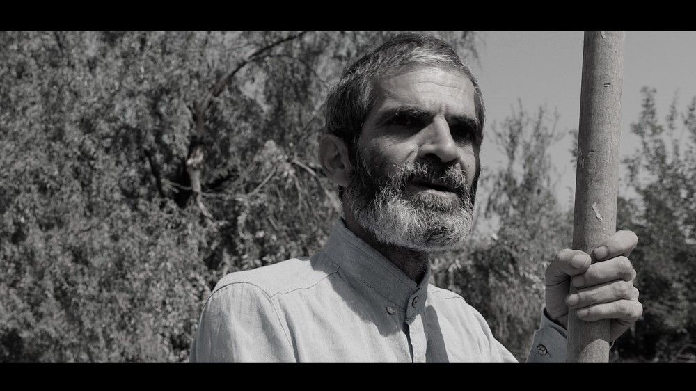 Photograph by Gulustan Aliyeva