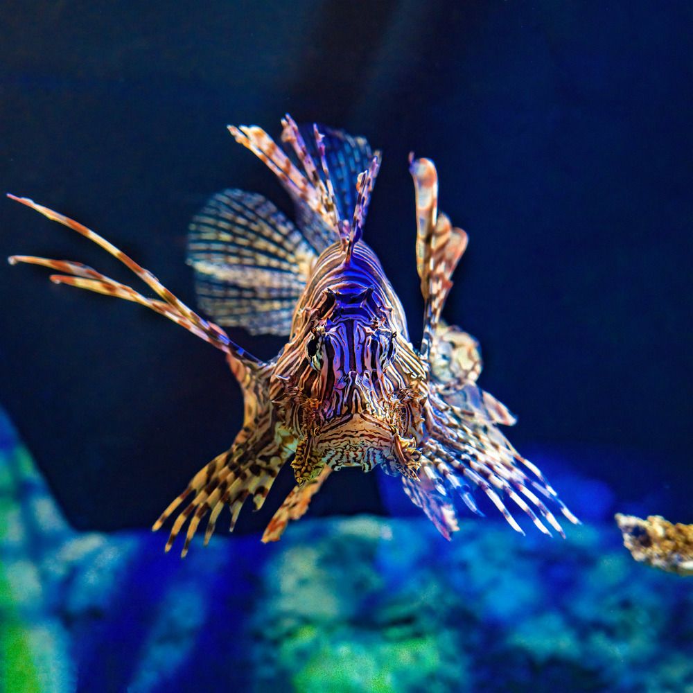 Photograph by Albert Zhager