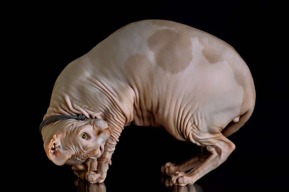 Photograph by Глебова Екатерина