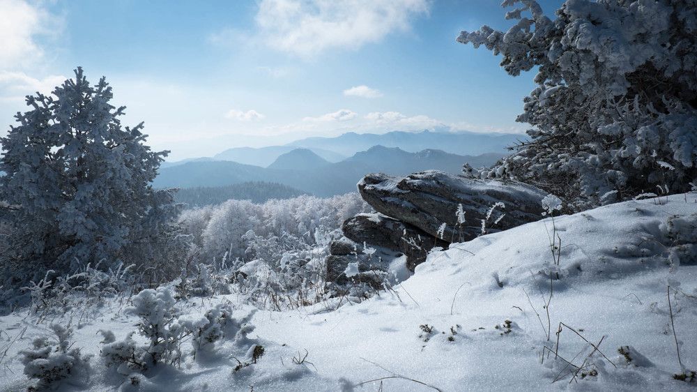 Photograph by Boro Milev