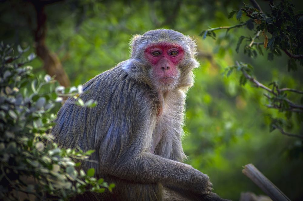 Photograph by Karan Arya