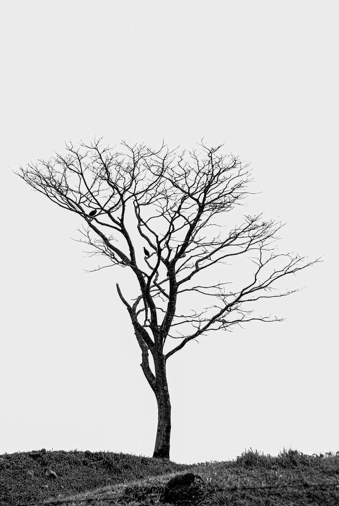 Entre a serra e o céu