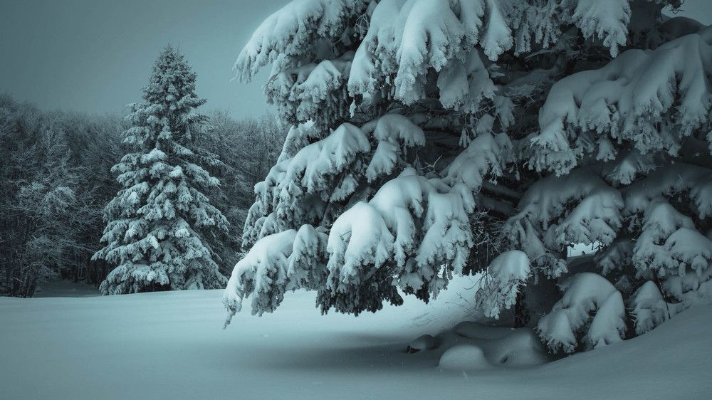 Photograph by Boro Milev