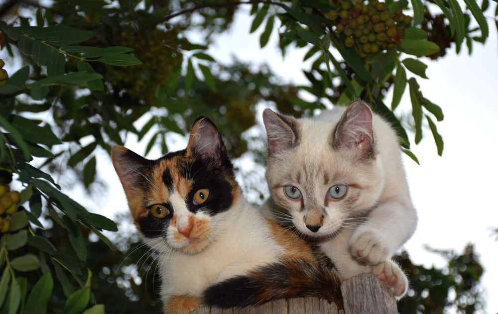 Photograph by  Татьяна Дорожко