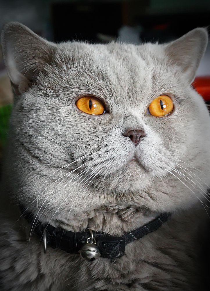 Photograph by Марина Назарова