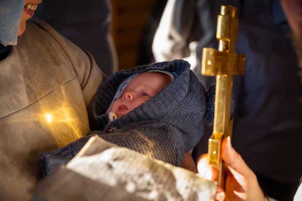 Photograph by Анастасия Пургина