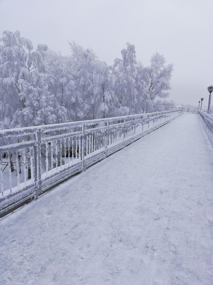 Photograph by Ольга Ельчанинова