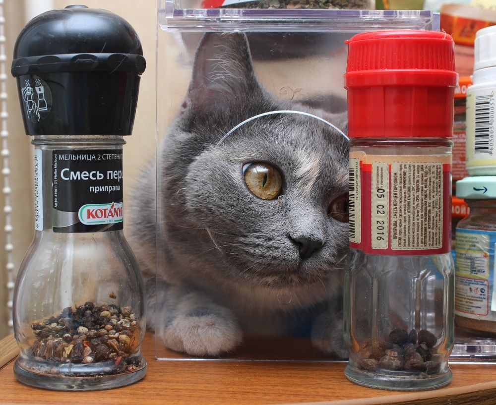 Photograph by Наталья Стальмакова