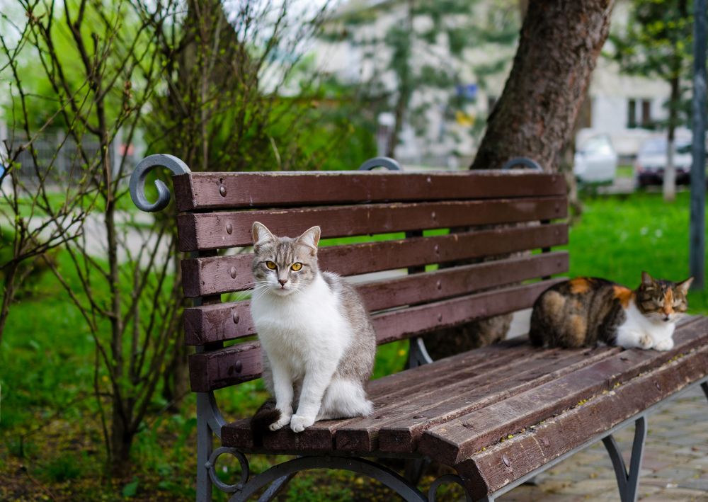 Photograph by Анастасия Кашенко