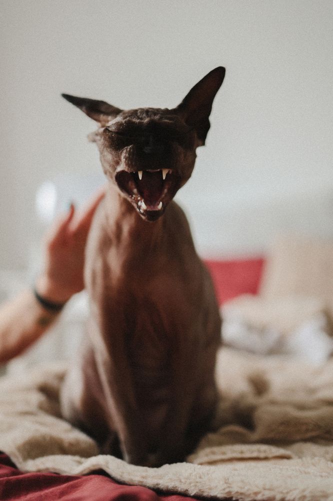 Photograph by Елена Лисина