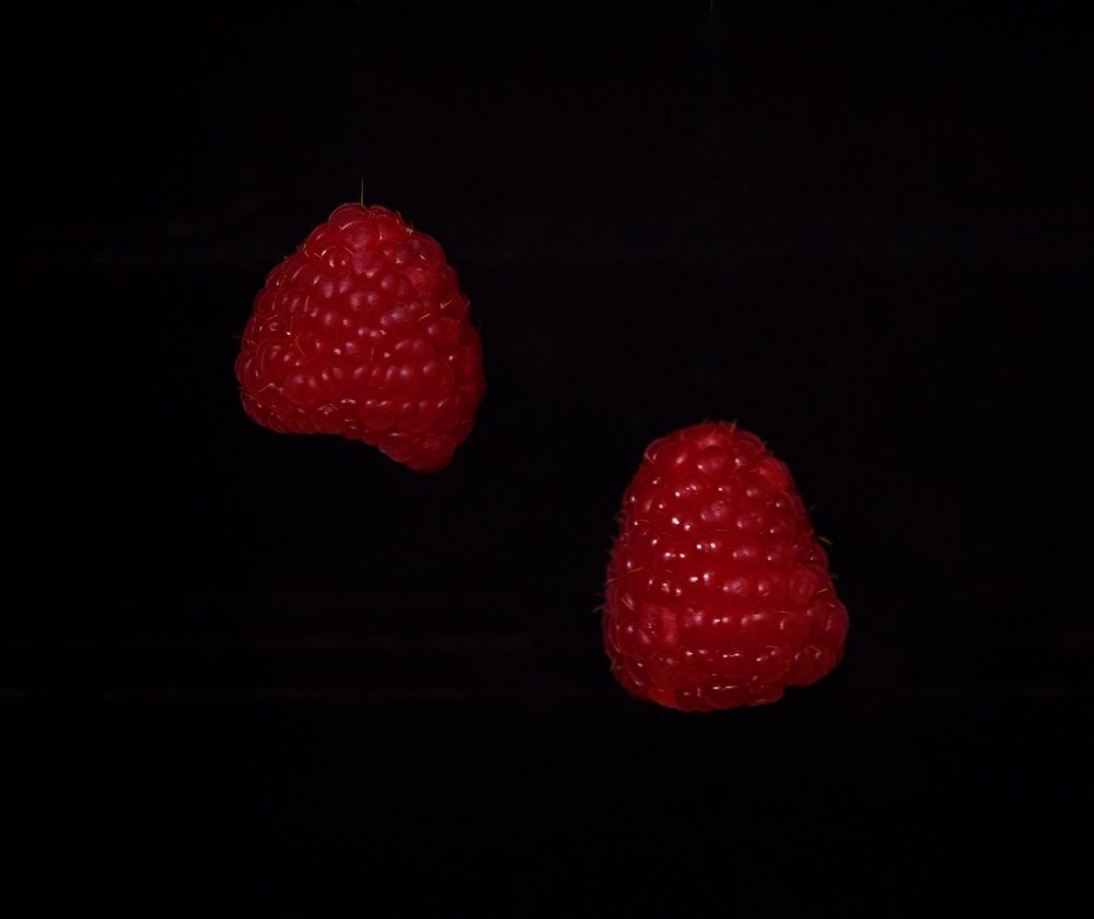 Photograph by Toomas Tõnisalu