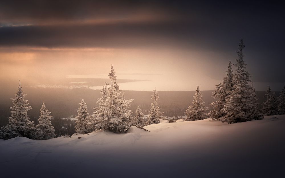 Photograph by Татьяна Бирюкова