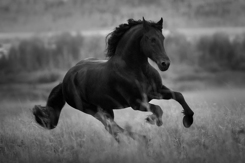 Photograph by Дарья Ералева