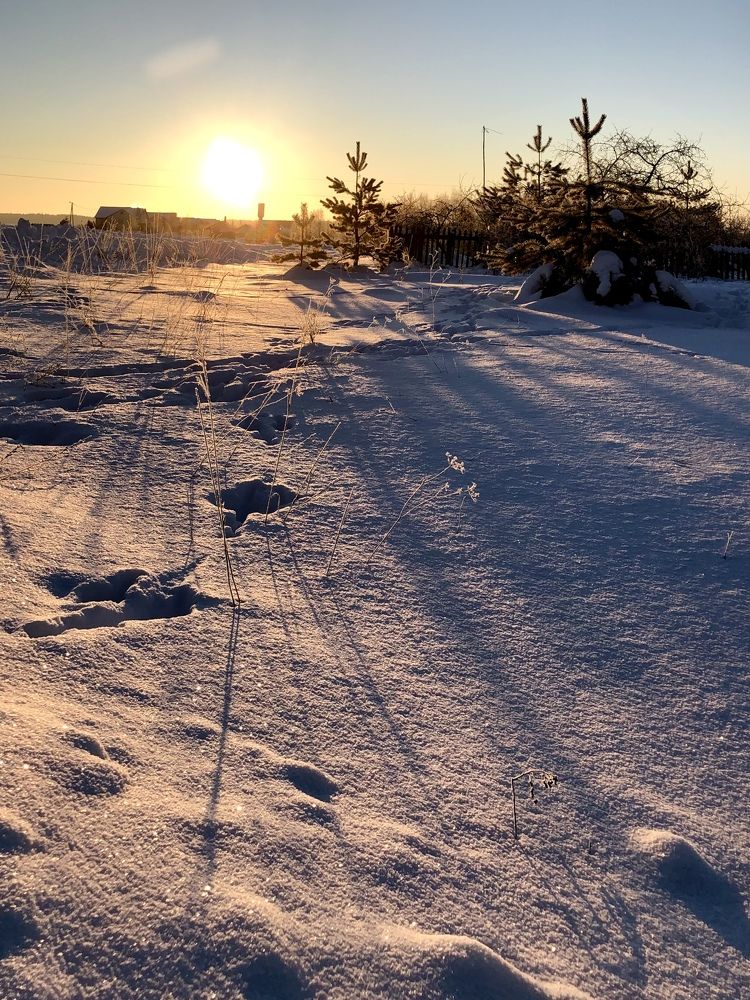 Photograph by Лариса Акинчиц