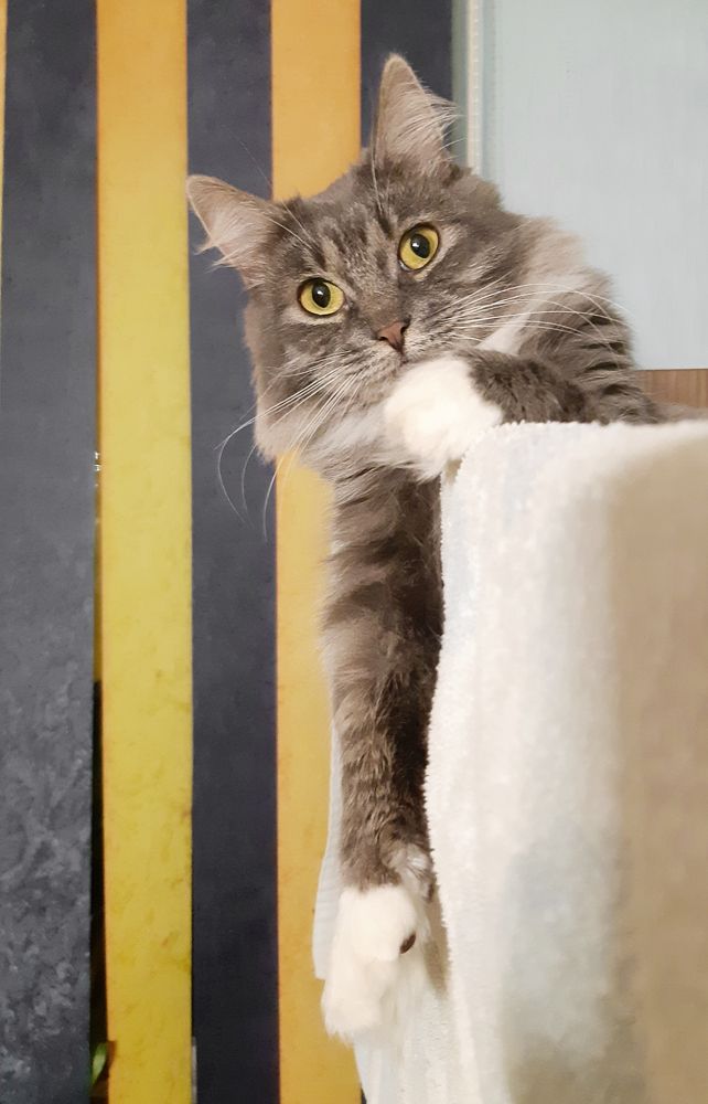 Photograph by Михаил Бронников