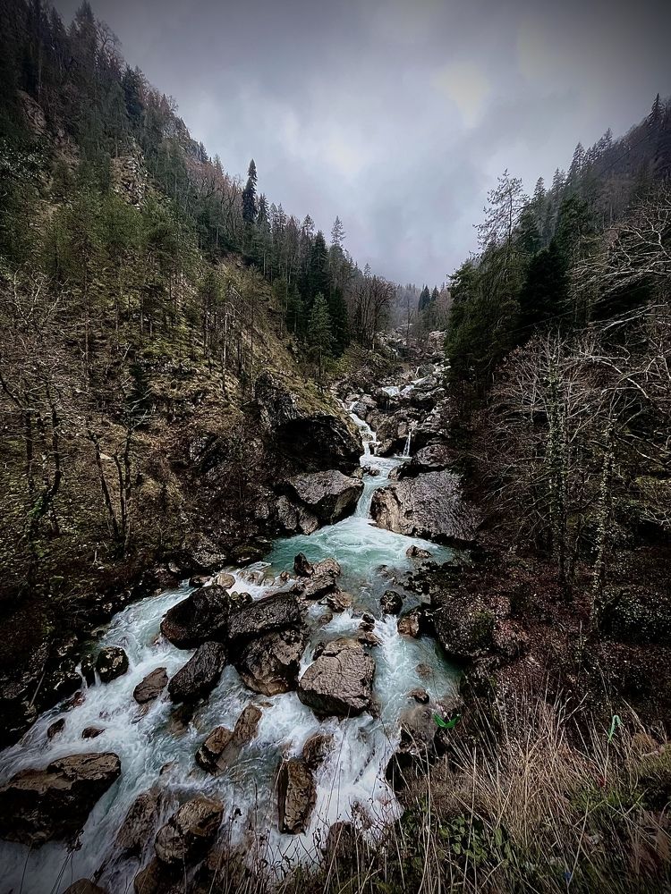 Photograph by Карина Лисина