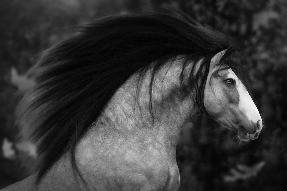 Photograph by Дарья Ералева