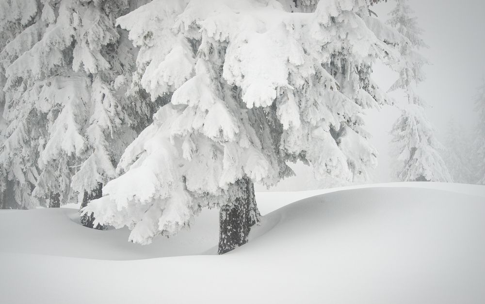 Photograph by Alexandru Pavel