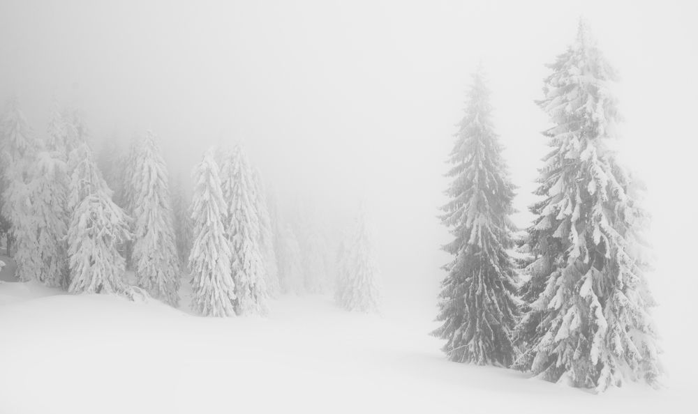 Photograph by Alexandru Pavel