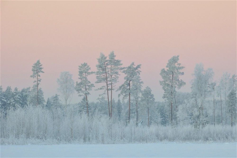 Photograph by Гузель Иванова