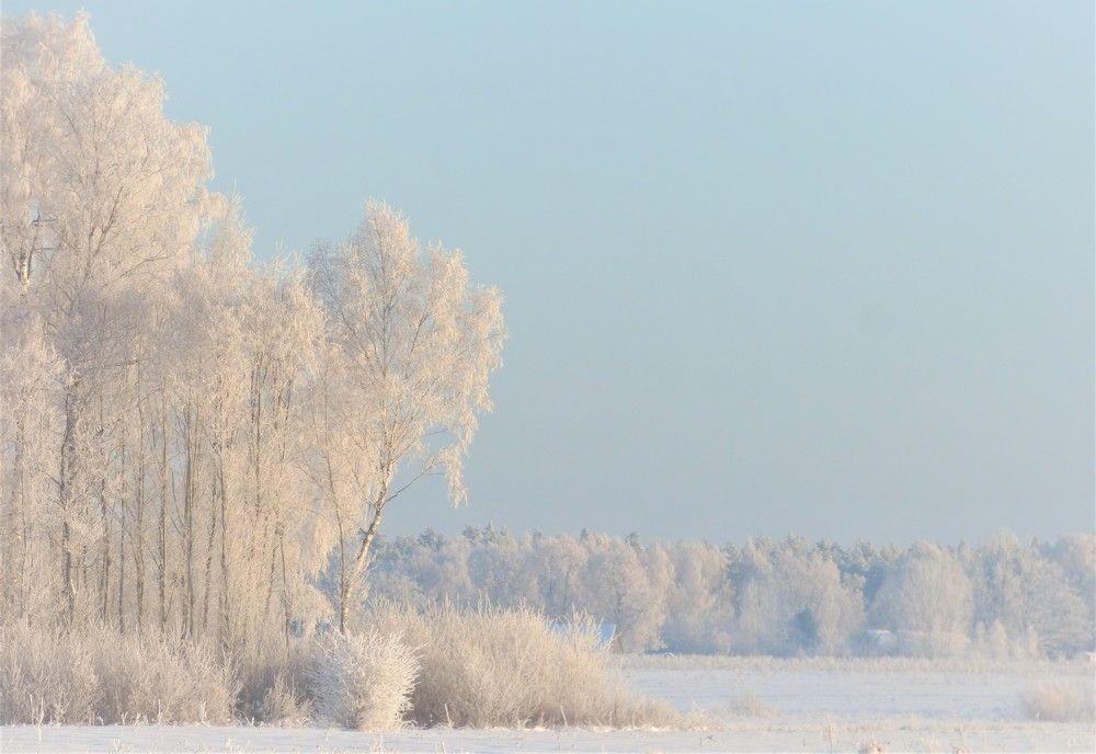 Photograph by Гузель Иванова
