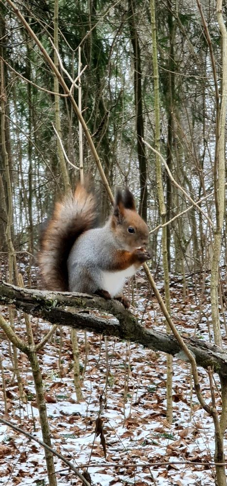 Photograph by Елена Вершинина