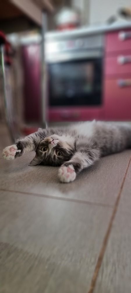 Да удобно мне, удобно