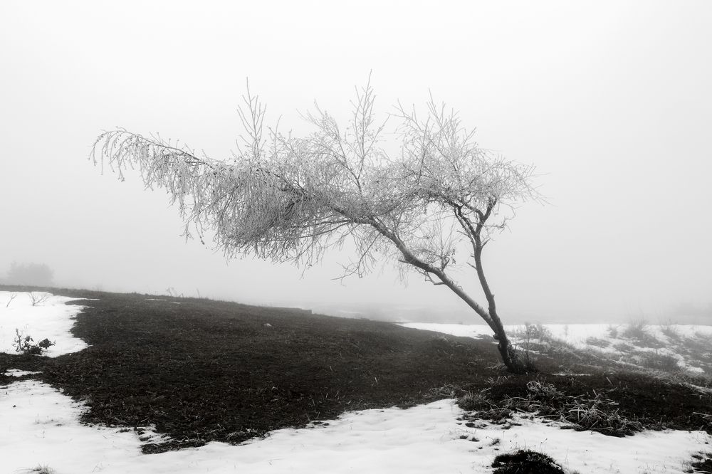 Photograph by Димитър Димитров