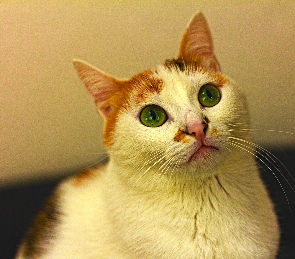 Photograph by Bilal Akbulut