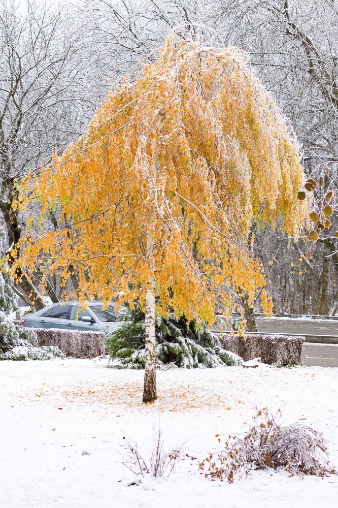 Photograph by Юрий Карпенко