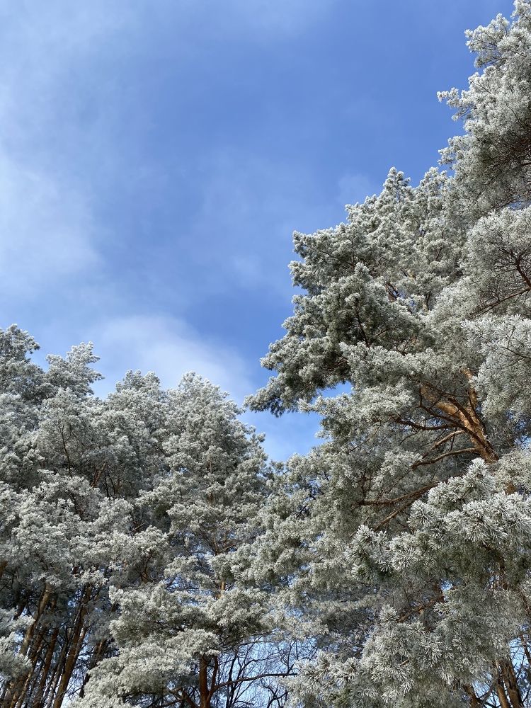 Photograph by Александр Шаталов