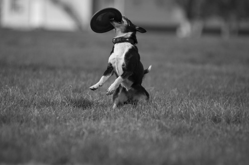 Photograph by Алиса Пономаренко