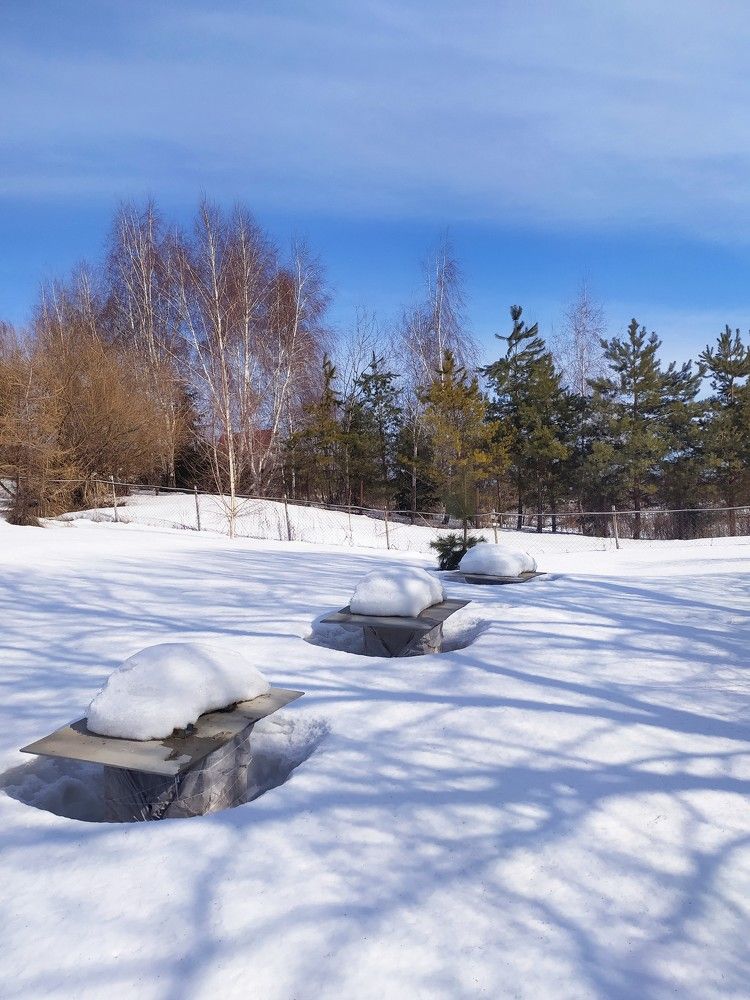 Фотография автора Елена Александрова