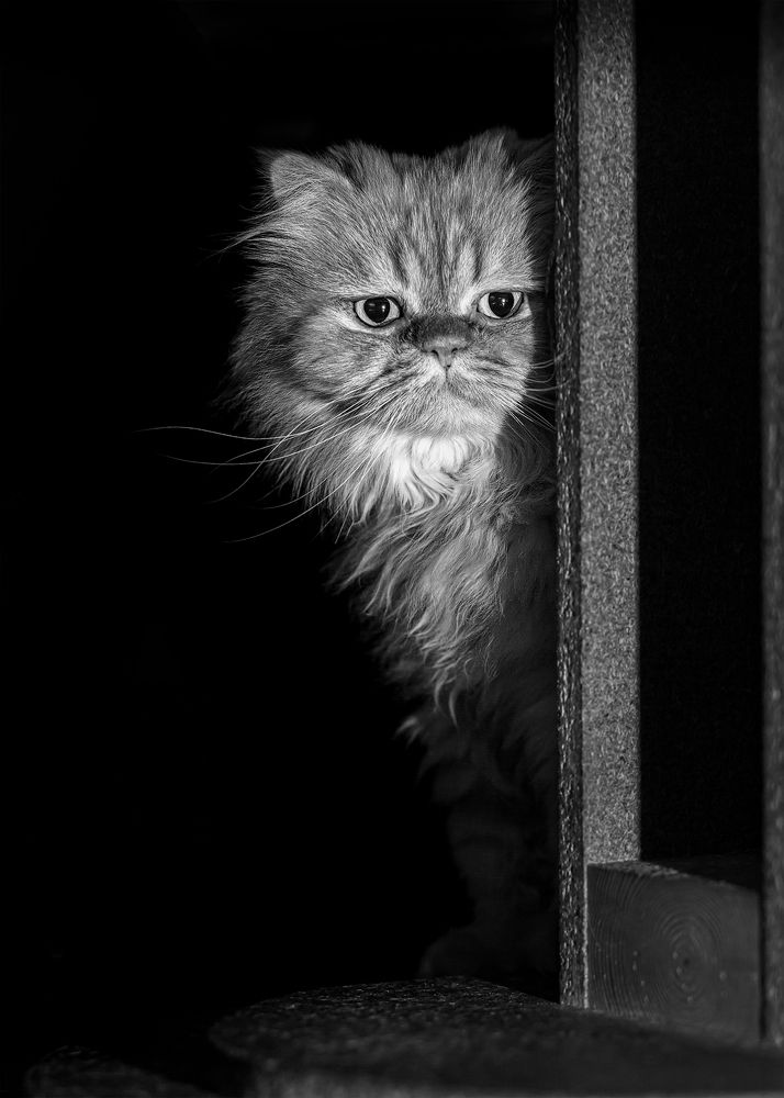 Photograph by Сергей Калинин