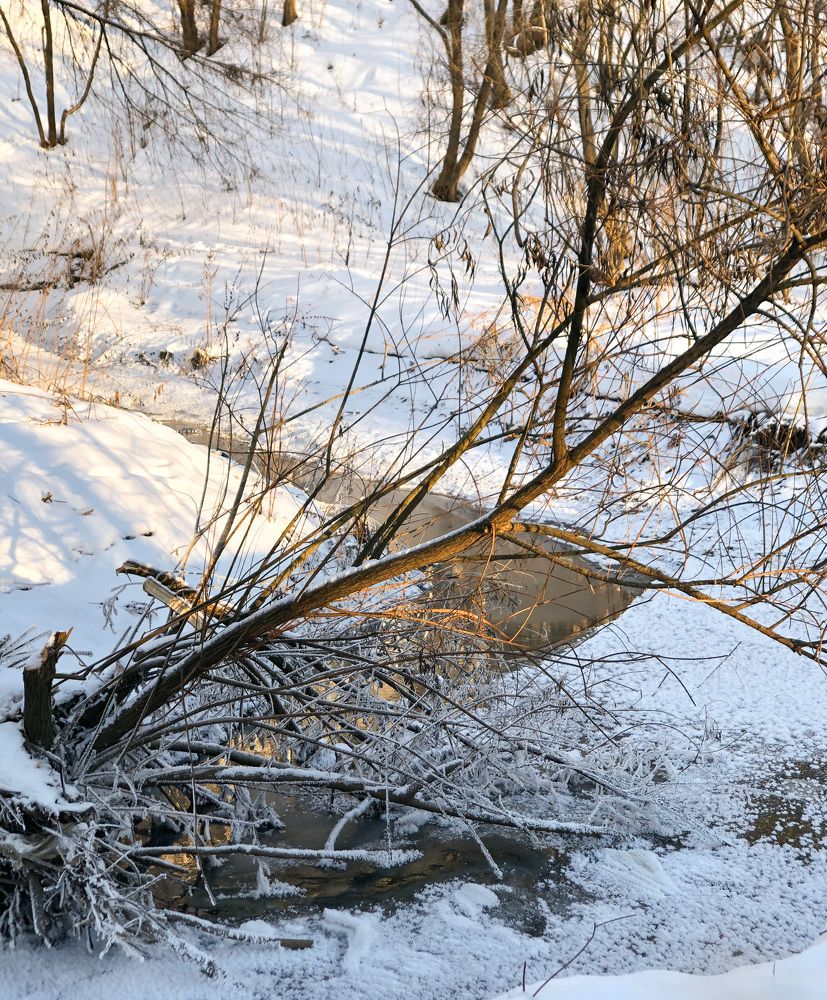 Photograph by Марина Георгиева