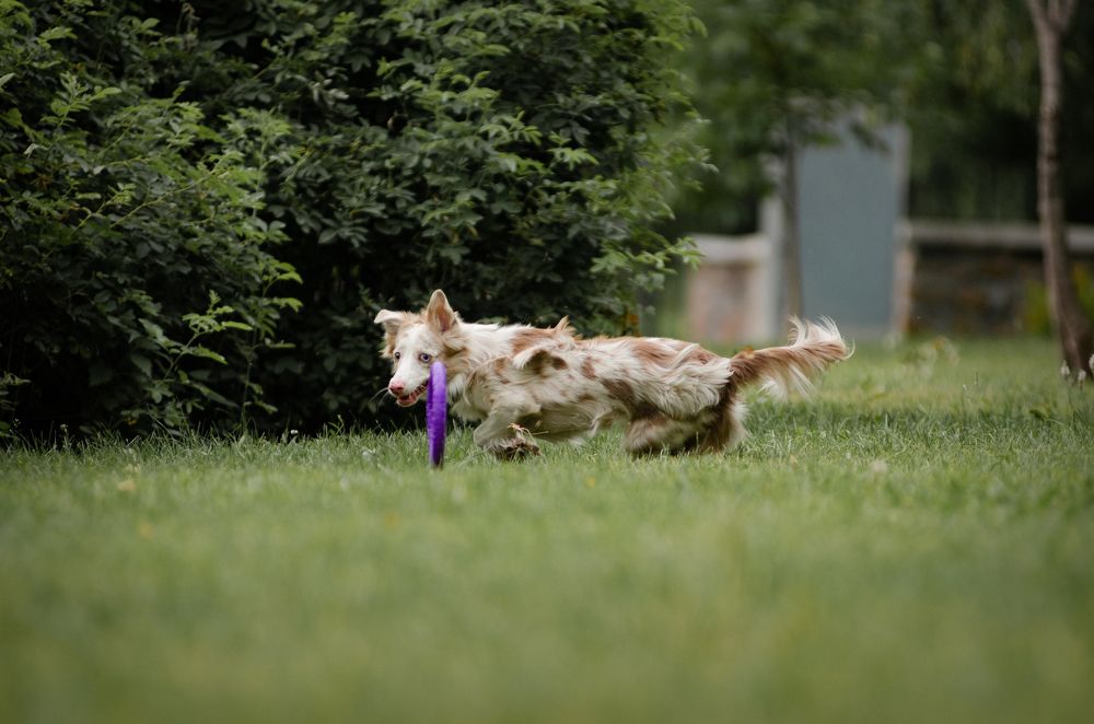 Photograph by Алиса Пономаренко