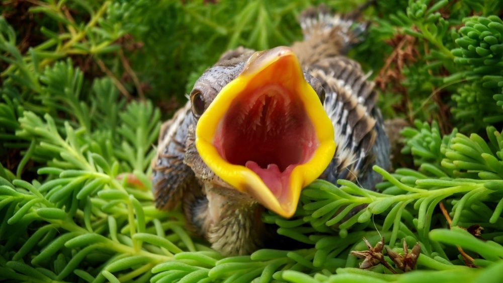 Photograph by Дмитрий Леонтенко