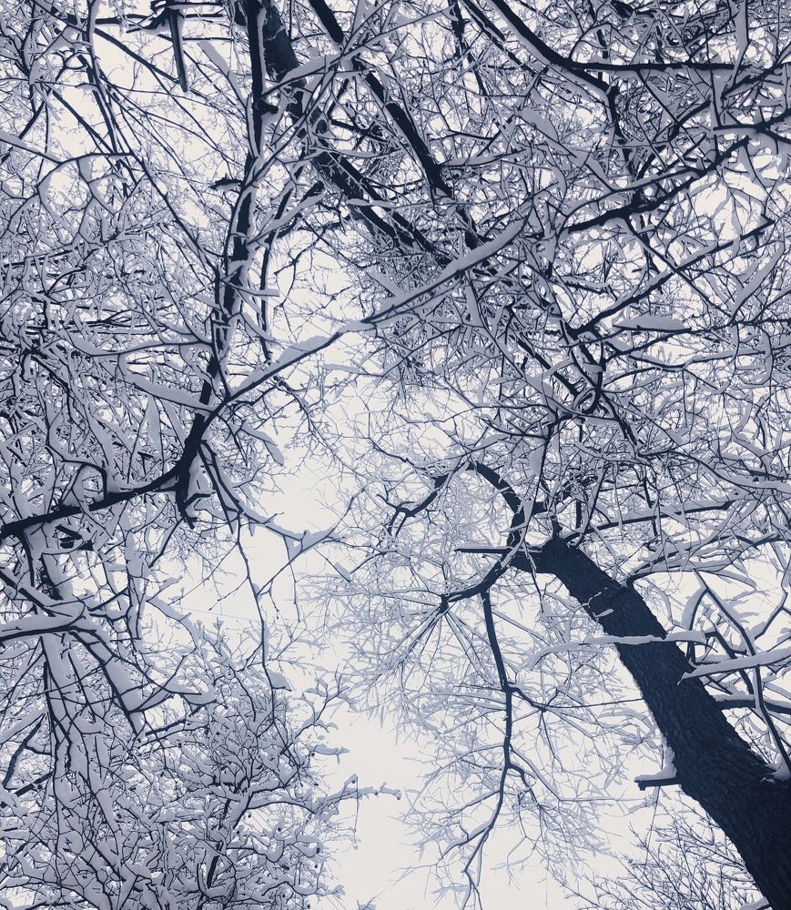 Photograph by Марина Георгиева