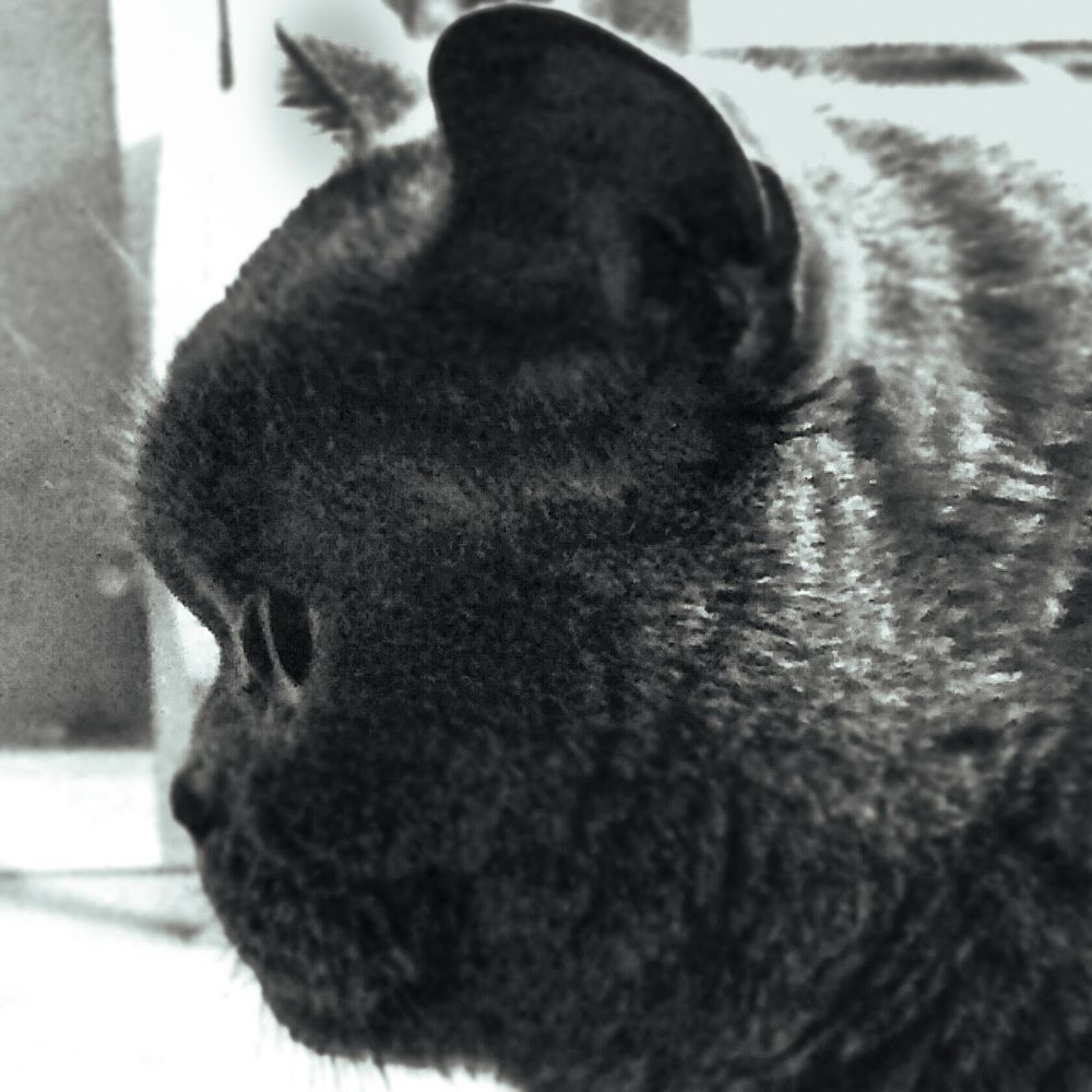 Photograph by Вера Романова