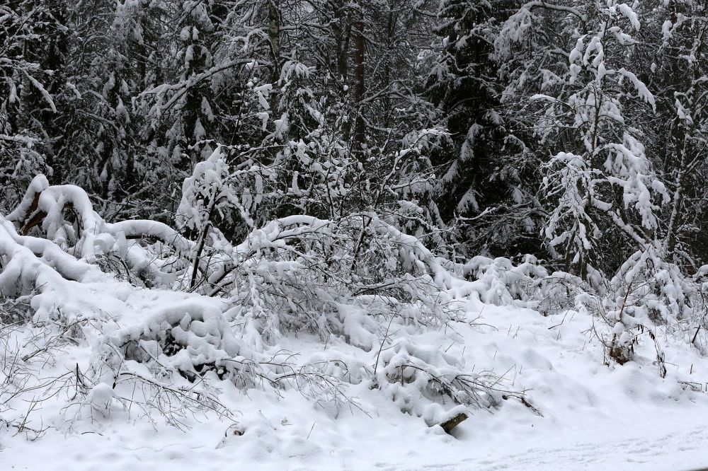 Photograph by Унку Юрий