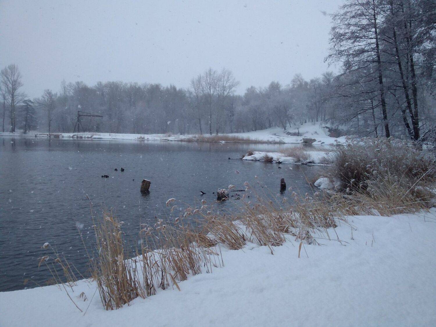 Photo #8737881
