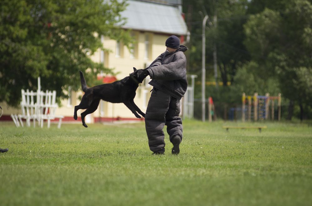 Photograph by Алиса Пономаренко