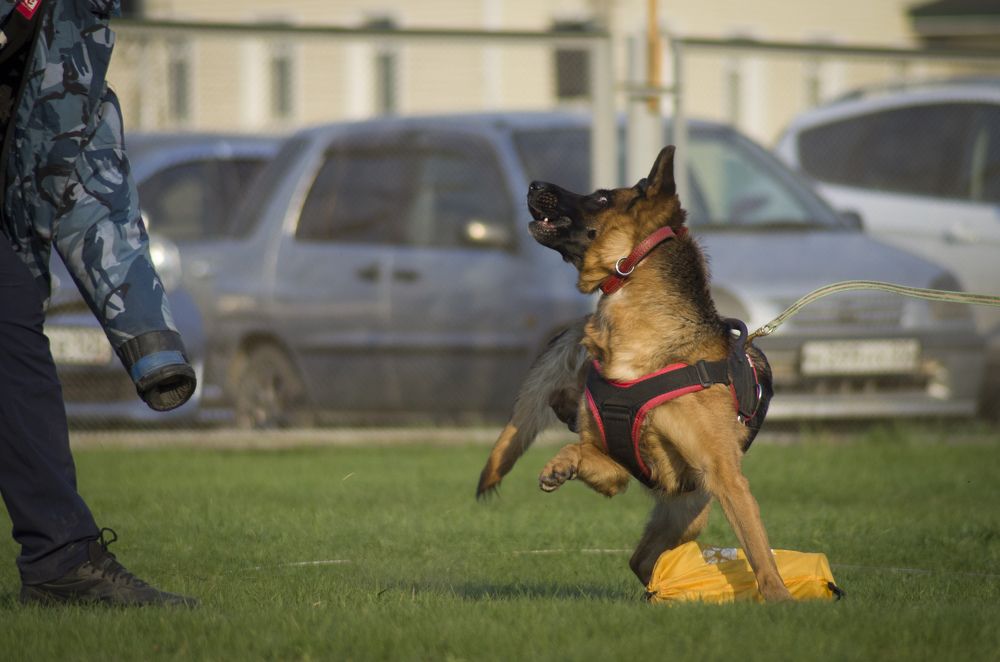 Photograph by Алиса Пономаренко