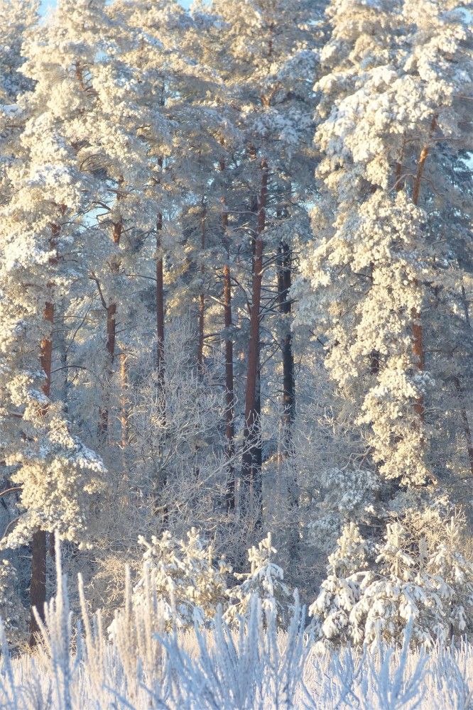 Photograph by Гузель Иванова